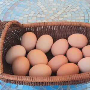 Eggs (per dozen)