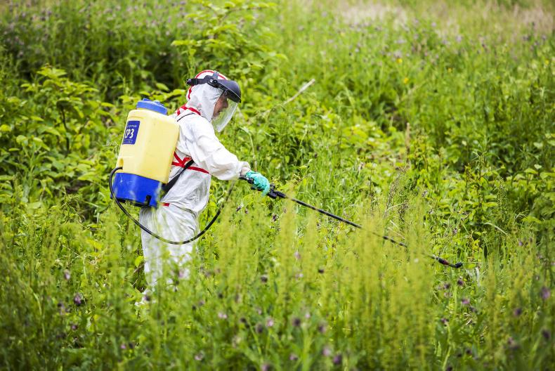 image shows a man wearing personal protective equipment to spray toxic herbicide on grass and weeds. 