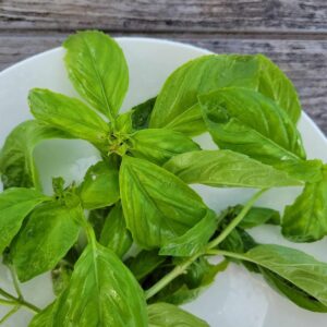 Sweet Basil Bunch